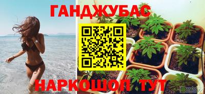 молекула духа Обь