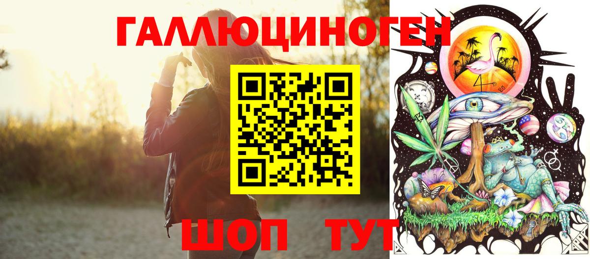 Псилоцибиновые грибы Psilocybine cubensis Тольятти