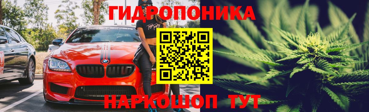 МАРИХУАНА OG Kush Тольятти